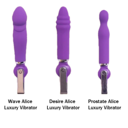 Buy Female Prostate Vibrator Luxury Sex Toys In Ujjain
