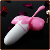 Wireless Vibrating Egg Sex Toy in Nashik – Smooth & Easy Control